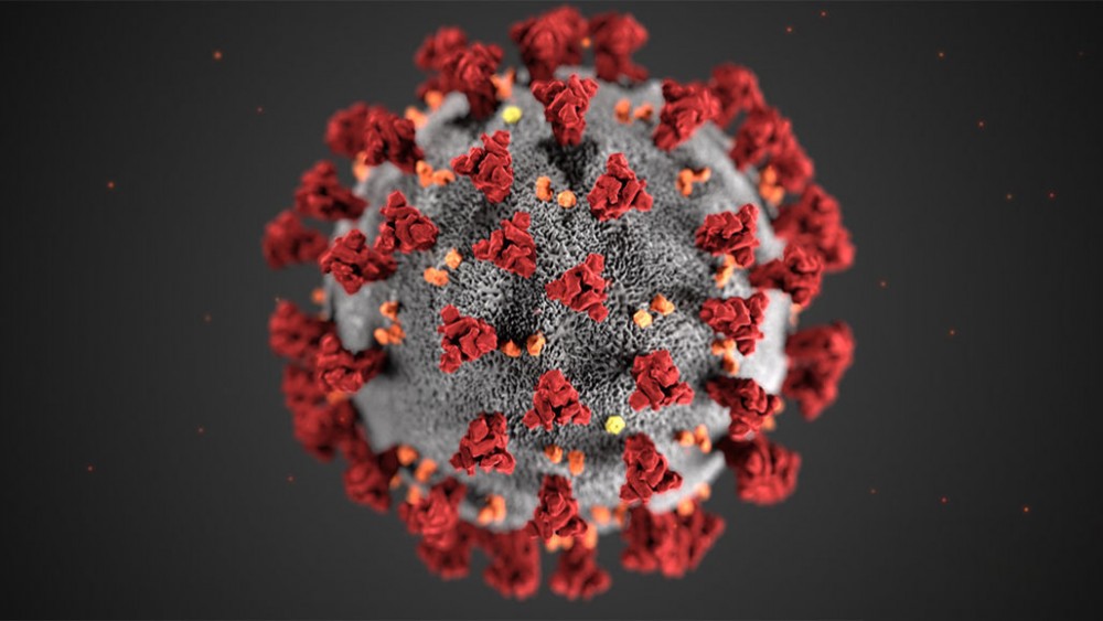 Saggezza dietro Coronavirus