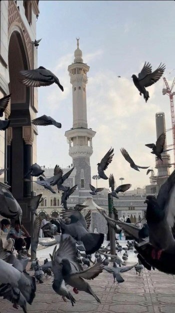 ِAllah has linked faith to patience and mercy