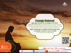 Consejo fraternal