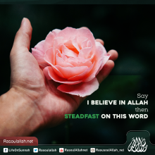 Say I believe in Allah then steadfast on this word