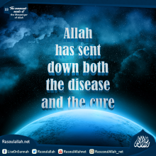 Allah has sent down both the disease and the cure