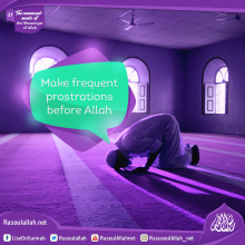 Make frequent prostrations before Allah