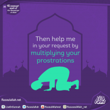 Then help me in your request by multiplying your prostrations