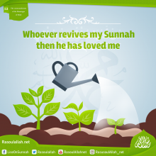 Whoever revives my Sunnah then he has loved me
