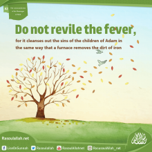 Do not revile the fever, for it cleanses out the sins of the children of Adam in the same way that a furnace removes the dirt of iron