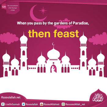 When you pass by the gardens of Paradise, then feast