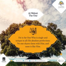 Al-Wāhid (The One)