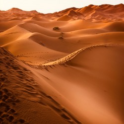 Why Did Muhammad Only Spread Islam to Arabs?