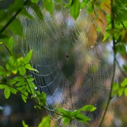 无神论（1/2）：拒绝无可否认的