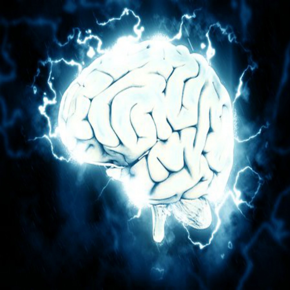 Ce que dit le Coran sur le cerveau
