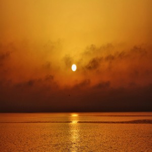 The Universality of Islam and Its Timelessness