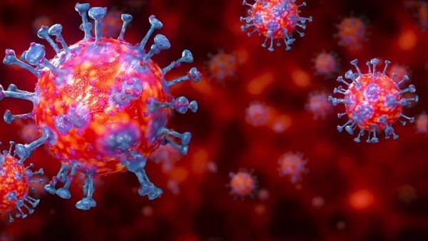 Panalangin at proteksyon sa Epidemya