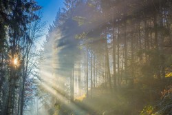 O que é o Islã? (parte 1 de 4): O Âmago do Islã