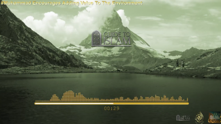 Prophet Muhammad encouraged people to add value to the environment