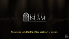 Prophet Muhammad called for the ethical treatment of animals.
