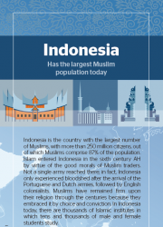 What drives them to learn about Islam