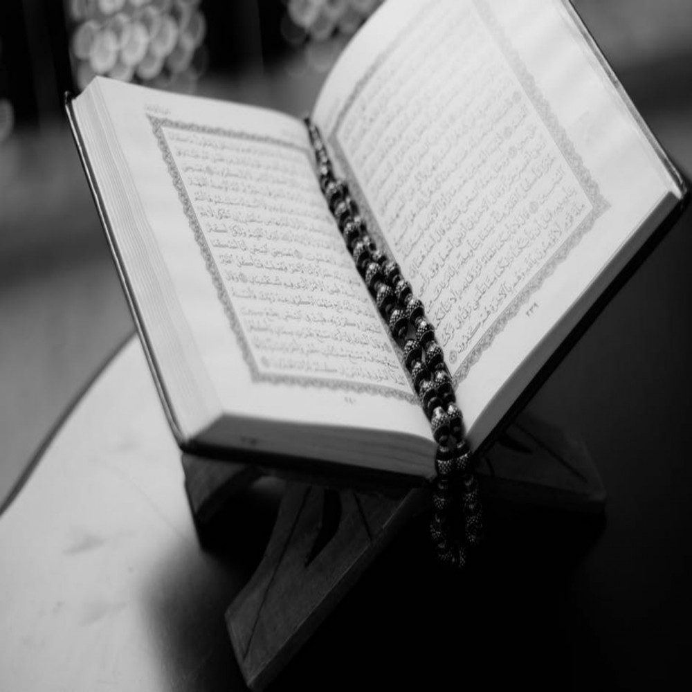 神奇的古兰经