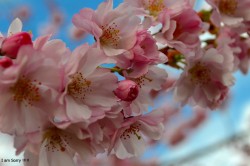 A Verdadeira Riqueza (parte 2 de 2)