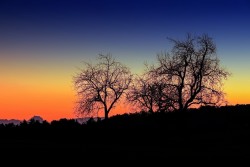 Ang Paglalakbay Patungo sa Kabilang Buhay (bahagi 6 ng 8): Ang Di-mananampalataya sa Araw ng Paghuhukom