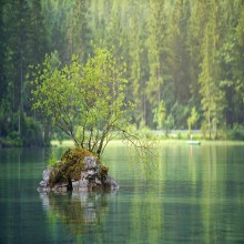 La protection environnementale en islam (partie 3 de 7) : La préservation des ressources naturelles de base – l’eau