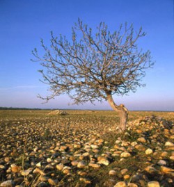Voyage dans l’au-delà (partie 2 de 8): Le croyant dans sa tombe