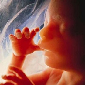 Le Coran miraculeux (partie 10 de 11): Les miracles scientifiques