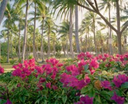 Coesione Sociale nell‘Islam (parte 2 di 3): La Fraternità Islamica