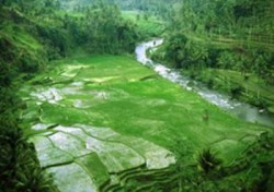 穆萨圣人的故事（1/12）:穆萨是谁？