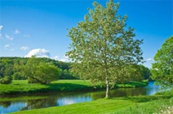 Что побуждает людей принять Ислам? (часть 1 из 2)