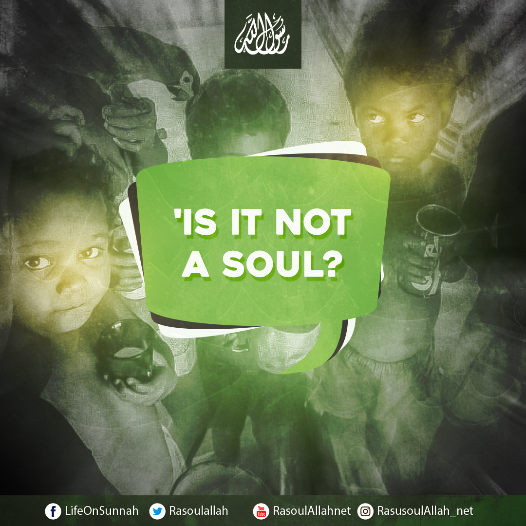 Is it not a soul?