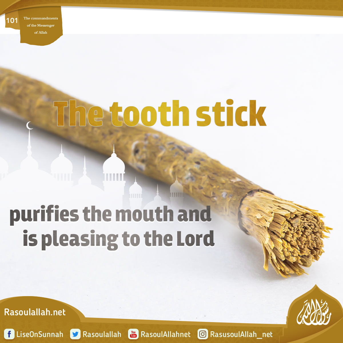 The tooth stick purifies the mouth and is pleasing to the Lord