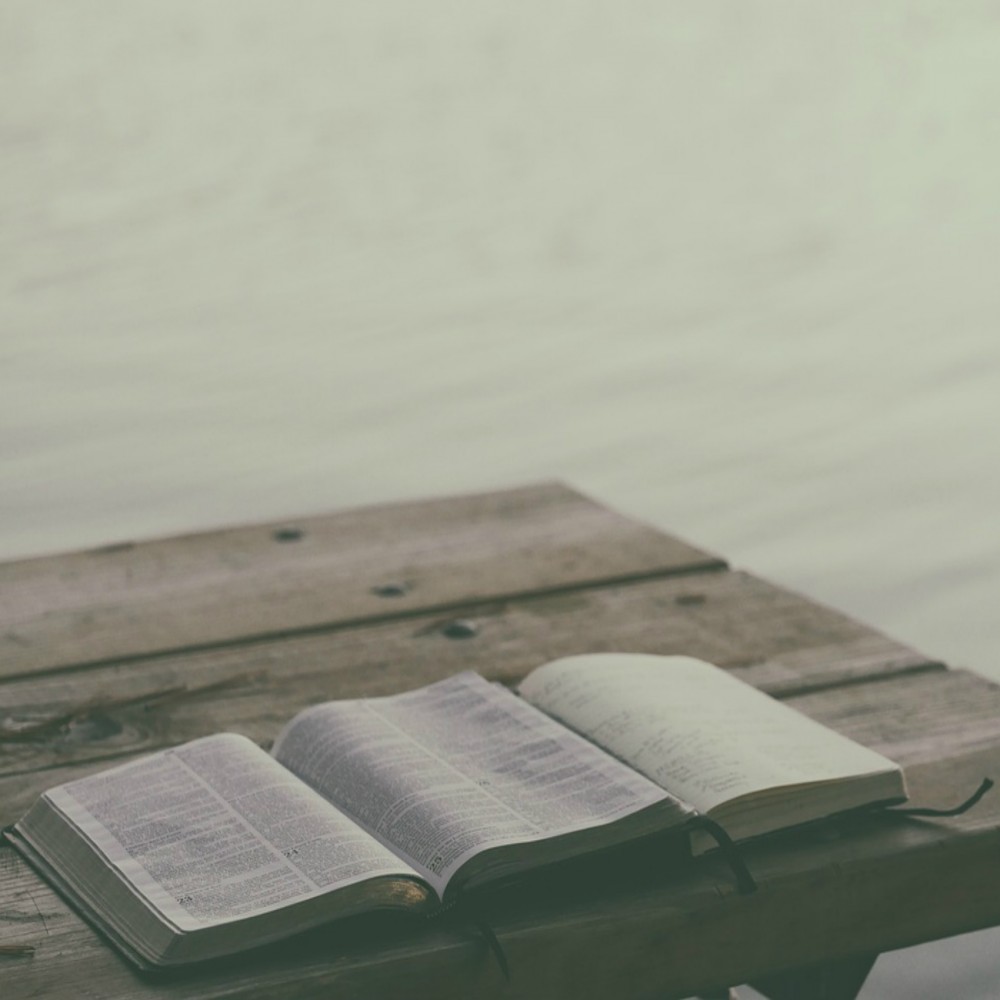 LAS PROFECÍAS SOBRE MUHÁMMAD EN LA BIBLIA (PARTE 3 DE 4): LAS PROFECÍAS EN EL NUEVO TESTAMENTO