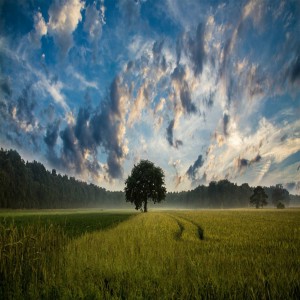 Purposeful Creation with a Purpose in Creation