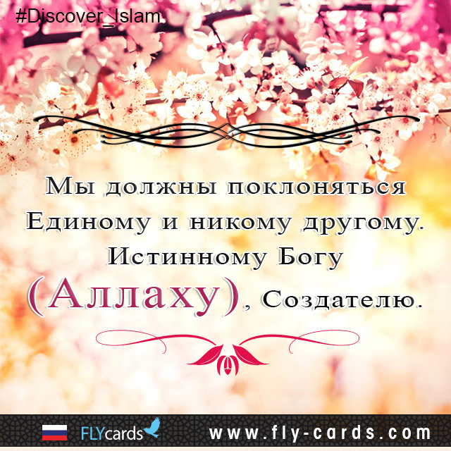 Мы Должны Поклоняться Единому И Никому Другому. Истинному Богу (Аллаху), Создателю.